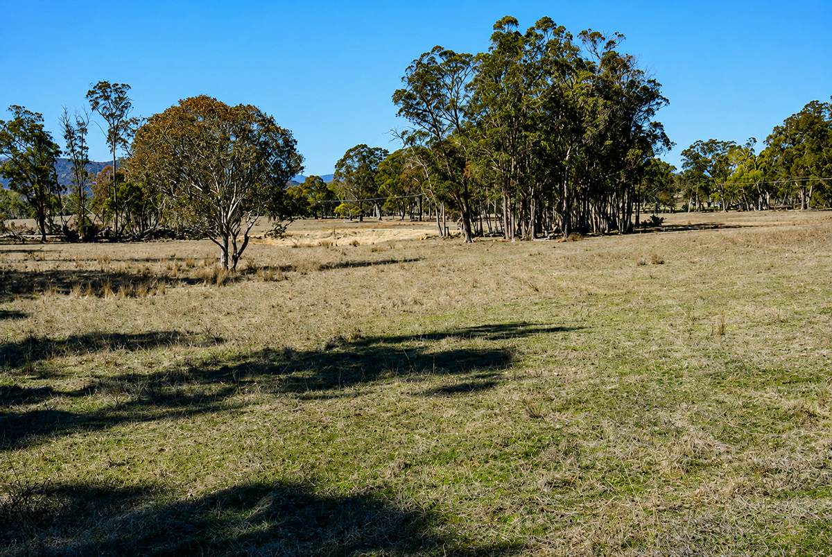 320 Cemetery Road, Torrington For Sale by Farmbuy.com - image 4
