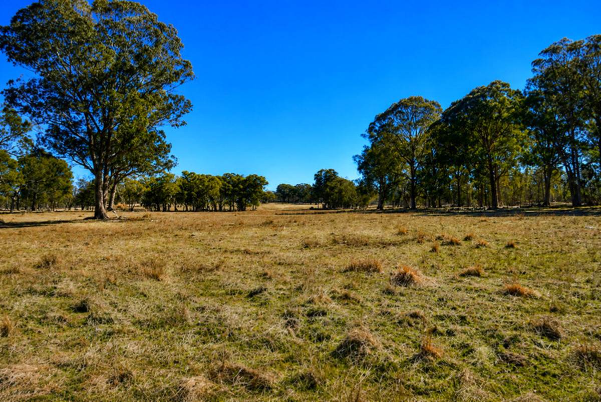 320 Cemetery Road, Torrington For Sale by Farmbuy.com - image 9