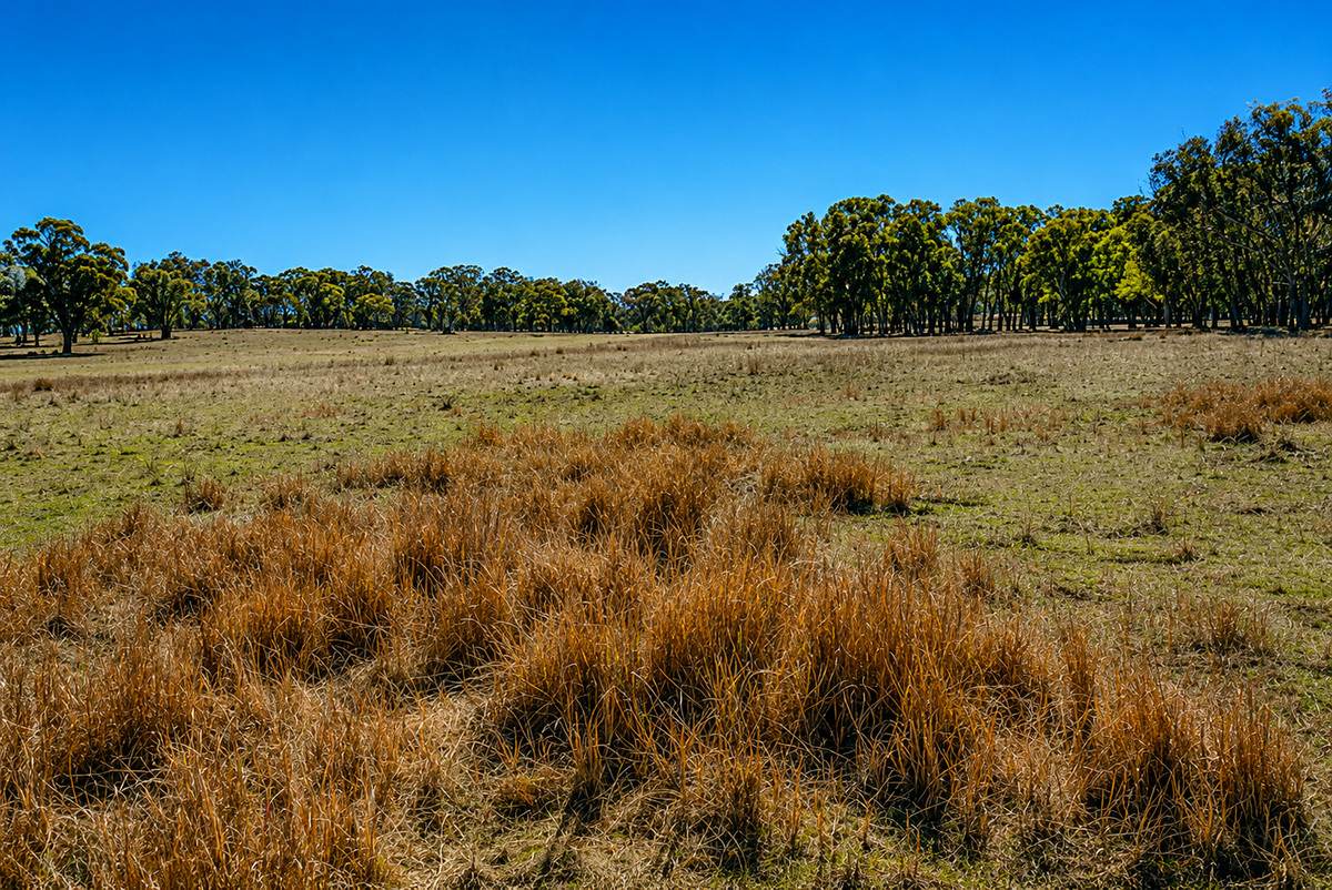 320 Cemetery Road, Torrington For Sale by Farmbuy.com - image 3