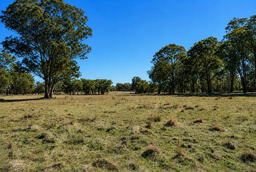 Farm For Sale - NSW - Torrington - 2371 - GIDDY UP ! 