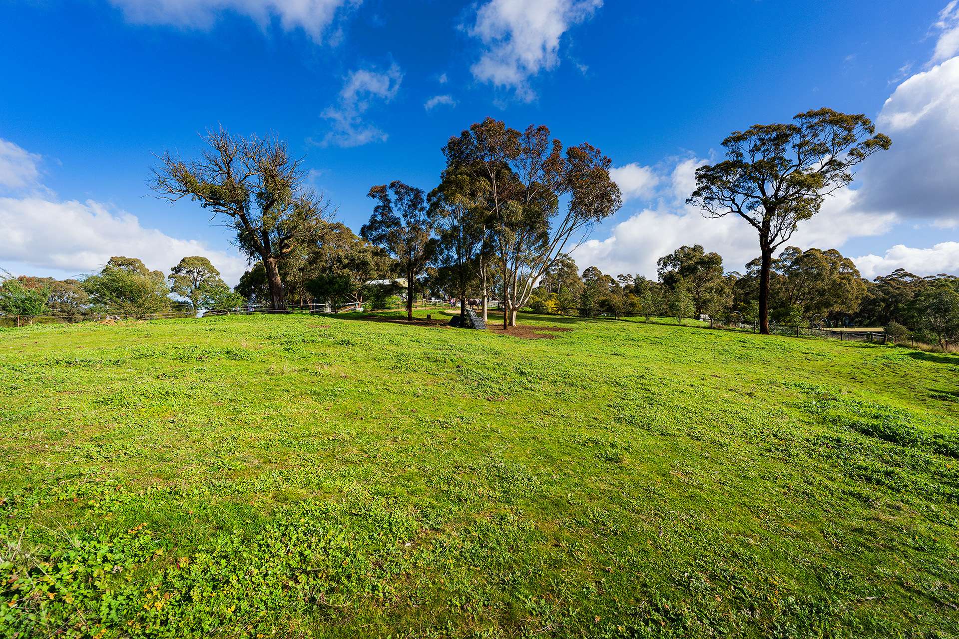 1/89 Wright Street, Elphinstone For Sale by Farmbuy.com - image 12