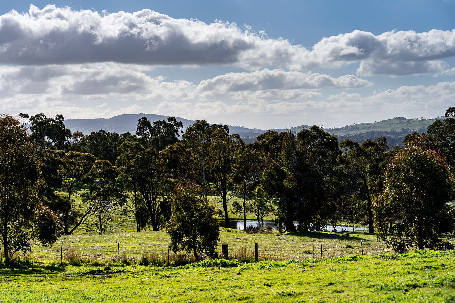 1/89 Wright Street, Elphinstone For Sale by Farmbuy.com - image 3