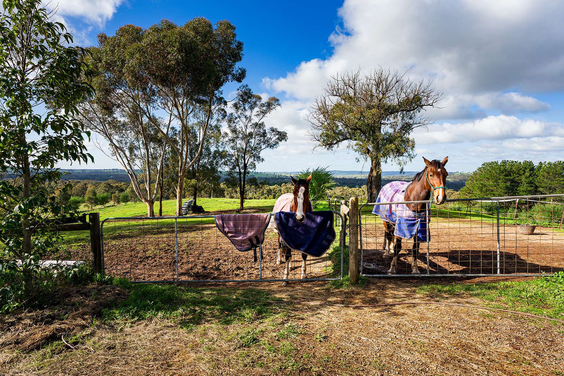 1/89 Wright Street, Elphinstone For Sale by Farmbuy.com - image 2