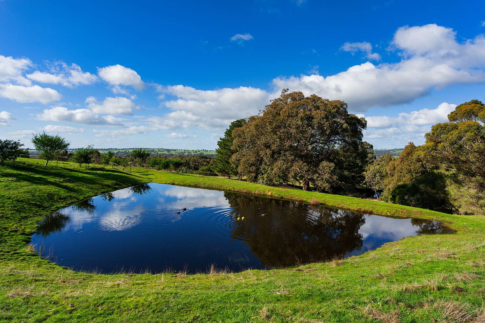 1/89 Wright Street, Elphinstone For Sale by Farmbuy.com - image 10