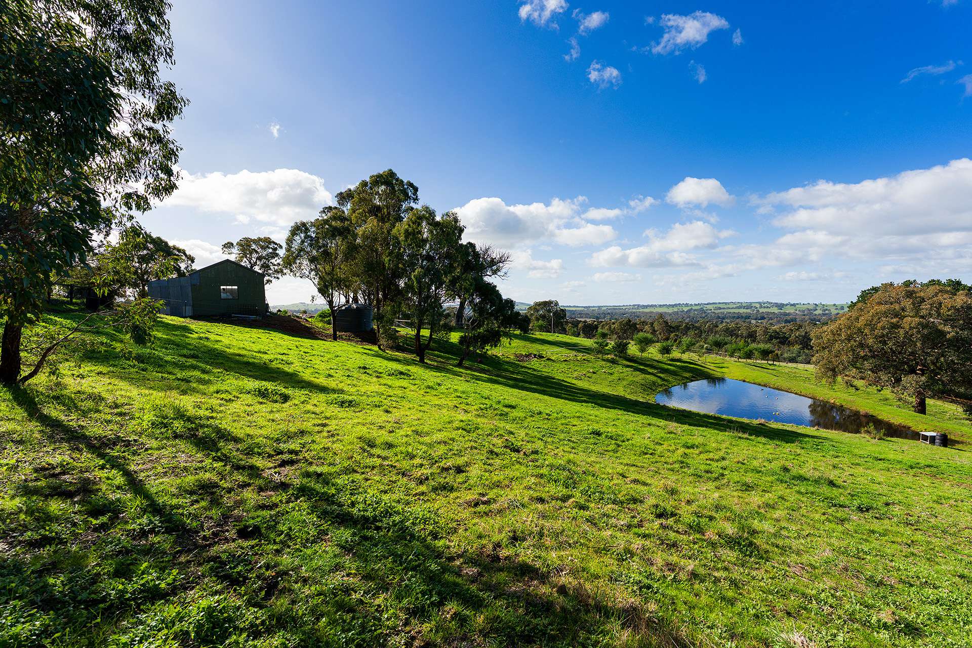 1/89 Wright Street, Elphinstone For Sale by Farmbuy.com - image 9