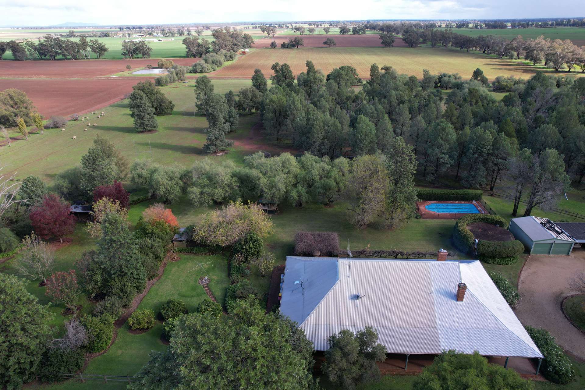 115 Wattle Lane, Forbes For Sale by Farmbuy.com - image 18