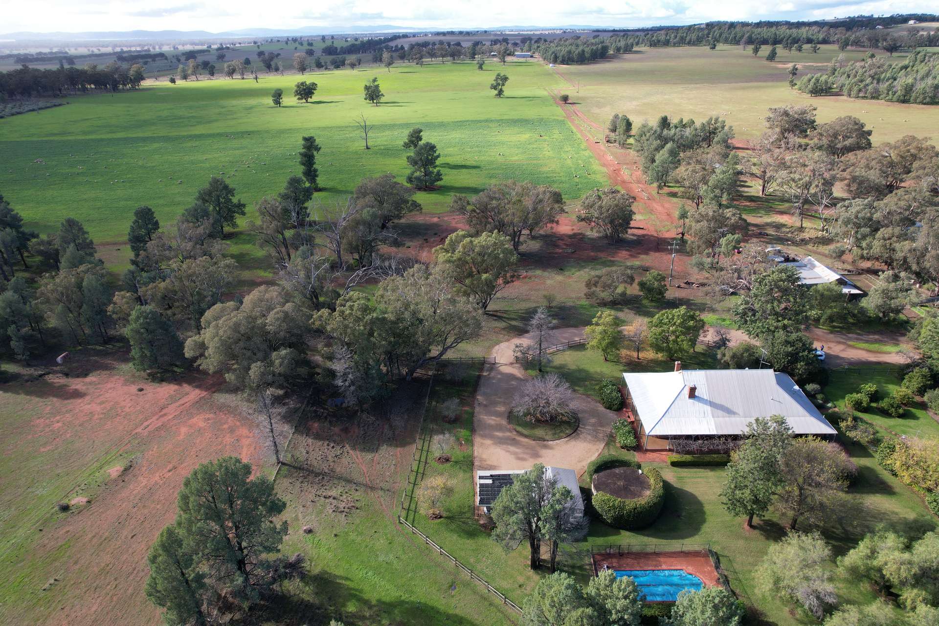 115 Wattle Lane, Forbes For Sale by Farmbuy.com - image 19