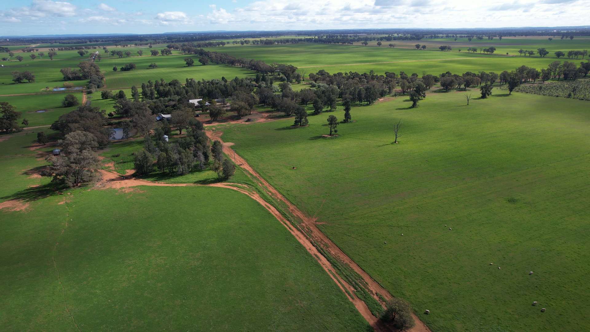 115 Wattle Lane, Forbes For Sale by Farmbuy.com - image 23