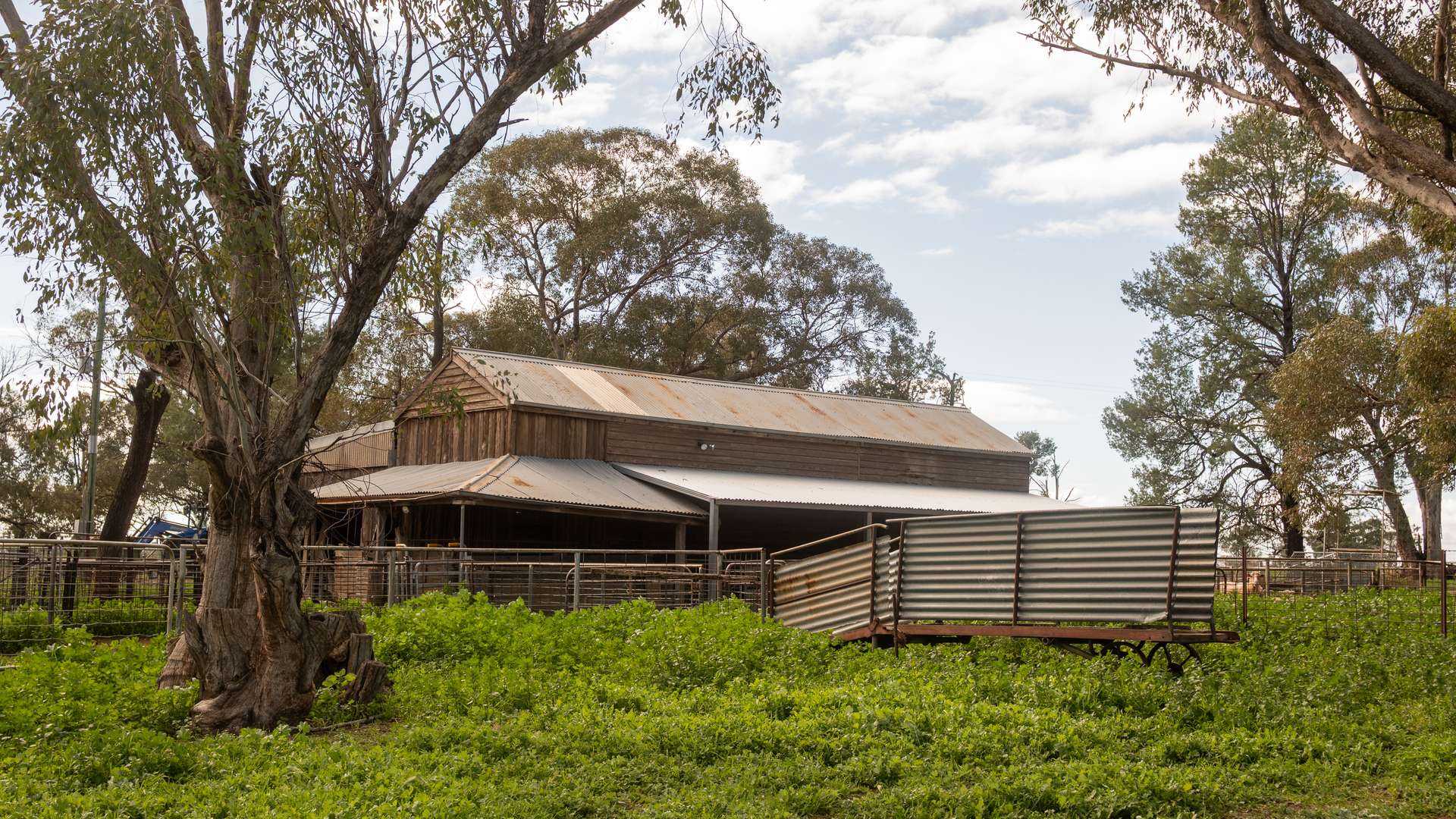 115 Wattle Lane, Forbes For Sale by Farmbuy.com - image 24