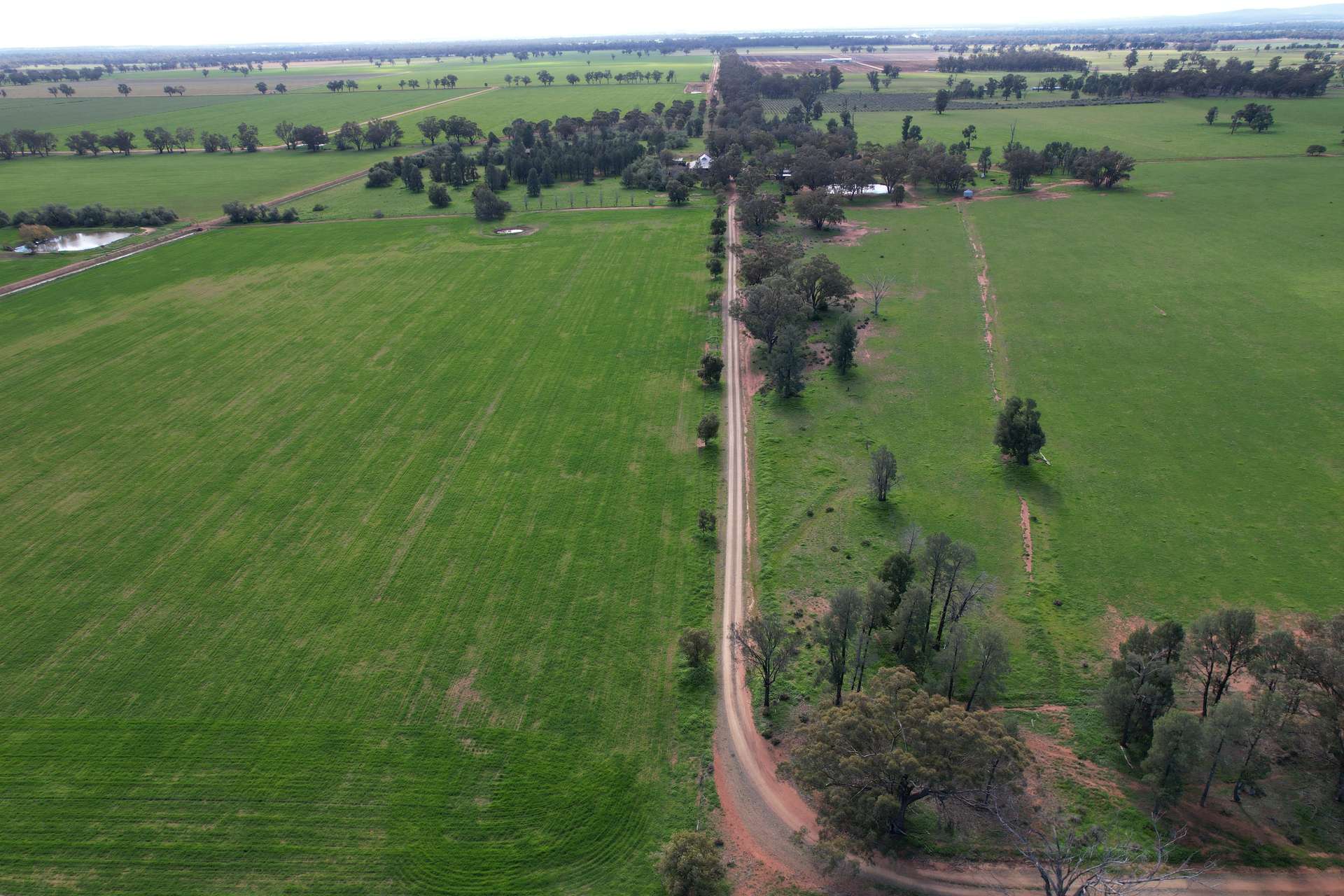 115 Wattle Lane, Forbes For Sale by Farmbuy.com - image 22