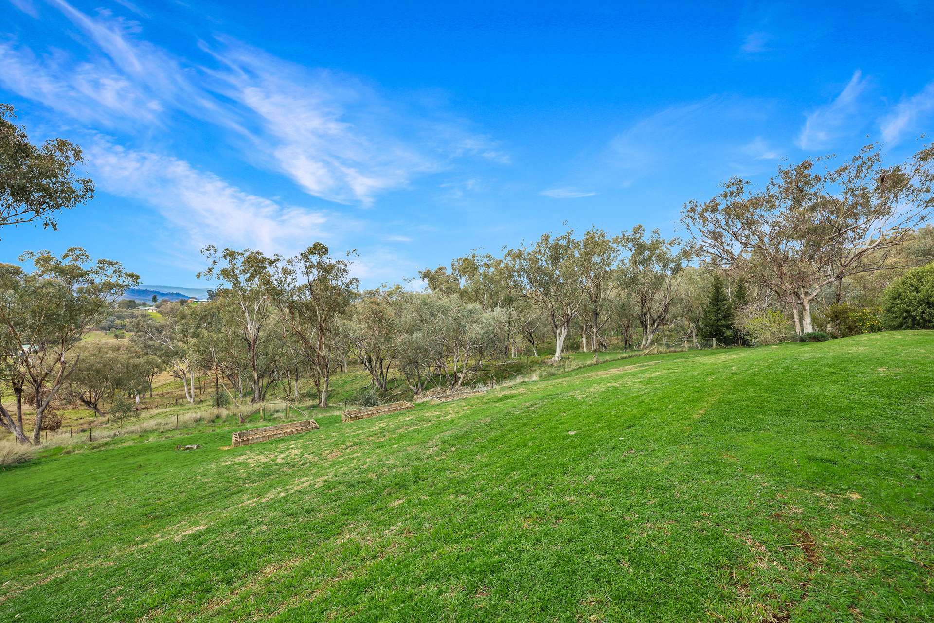 98 Tullamore Road, Tamworth Auction by Farmbuy.com - image 13