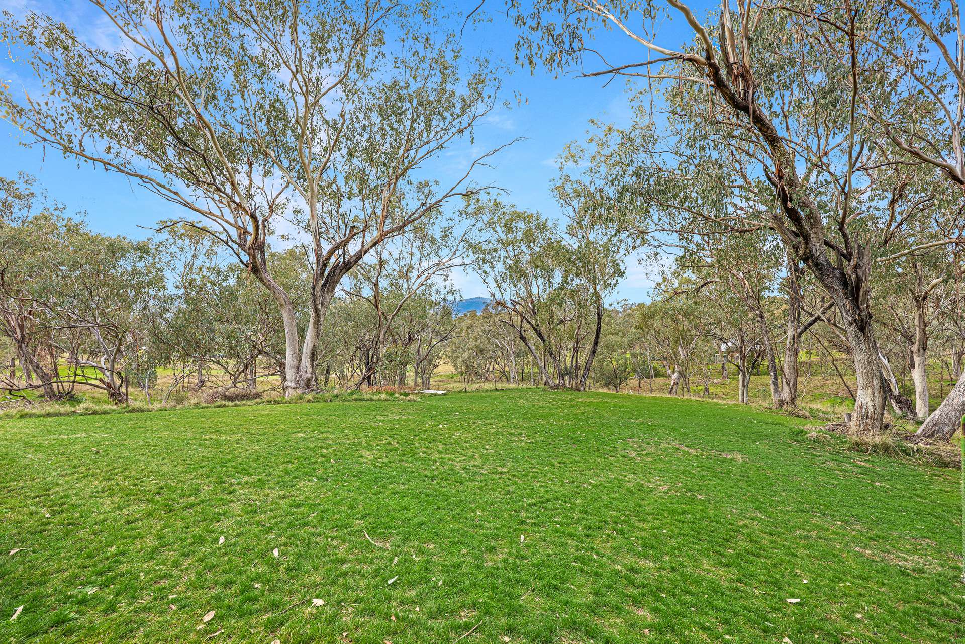 98 Tullamore Road, Tamworth Auction by Farmbuy.com - image 13