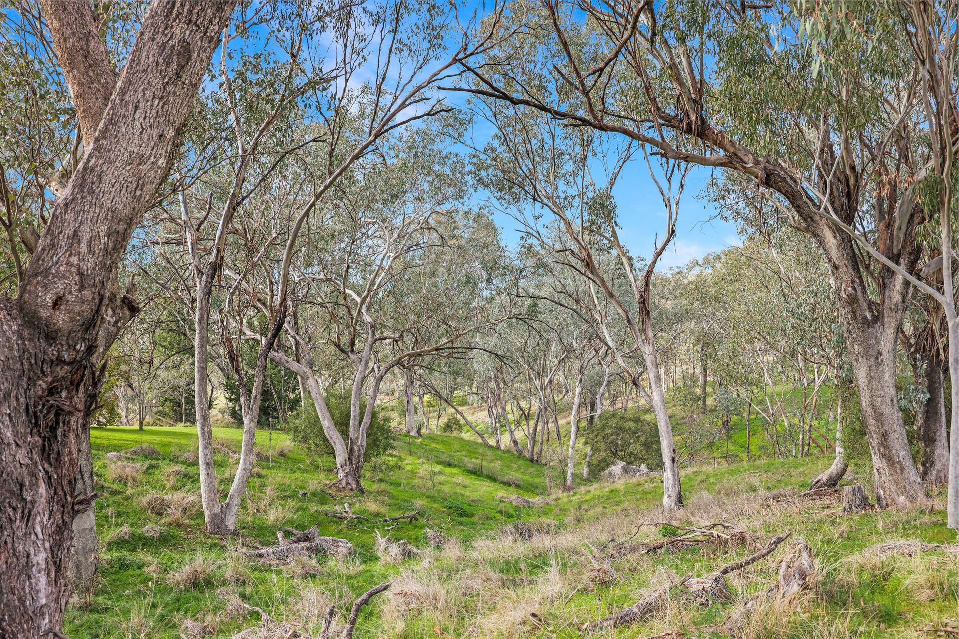 98 Tullamore Road, Tamworth Auction by Farmbuy.com - image 15