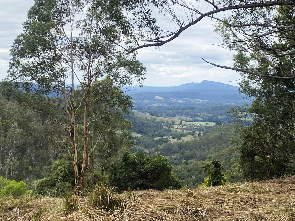 Lot 220 Comboyne Road, Byabarra NSW 2446