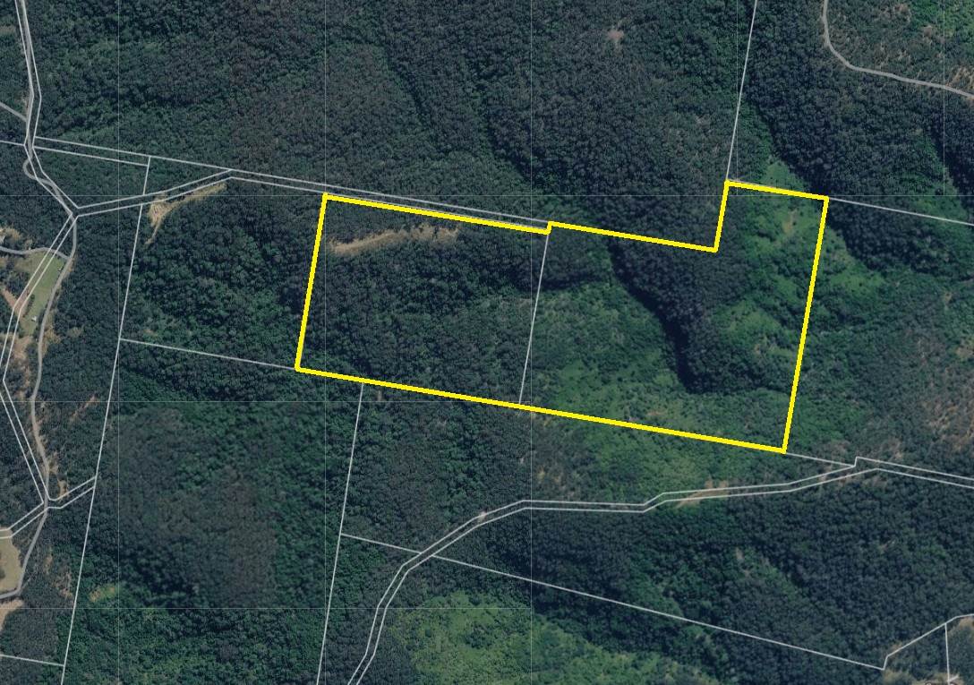 Lot 220 Comboyne Road, Byabarra For Sale by Farmbuy.com - image 28