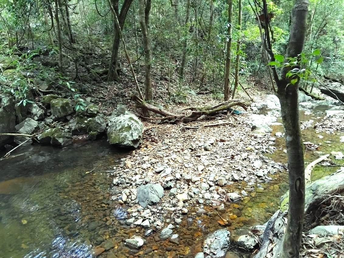 Lot 220 Comboyne Road, Byabarra For Sale by Farmbuy.com - image 14