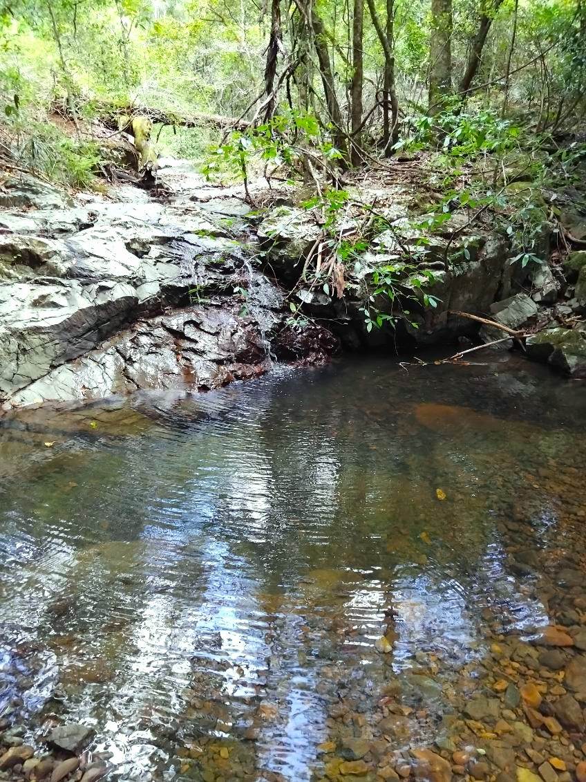 Lot 220 Comboyne Road, Byabarra For Sale by Farmbuy.com - image 15