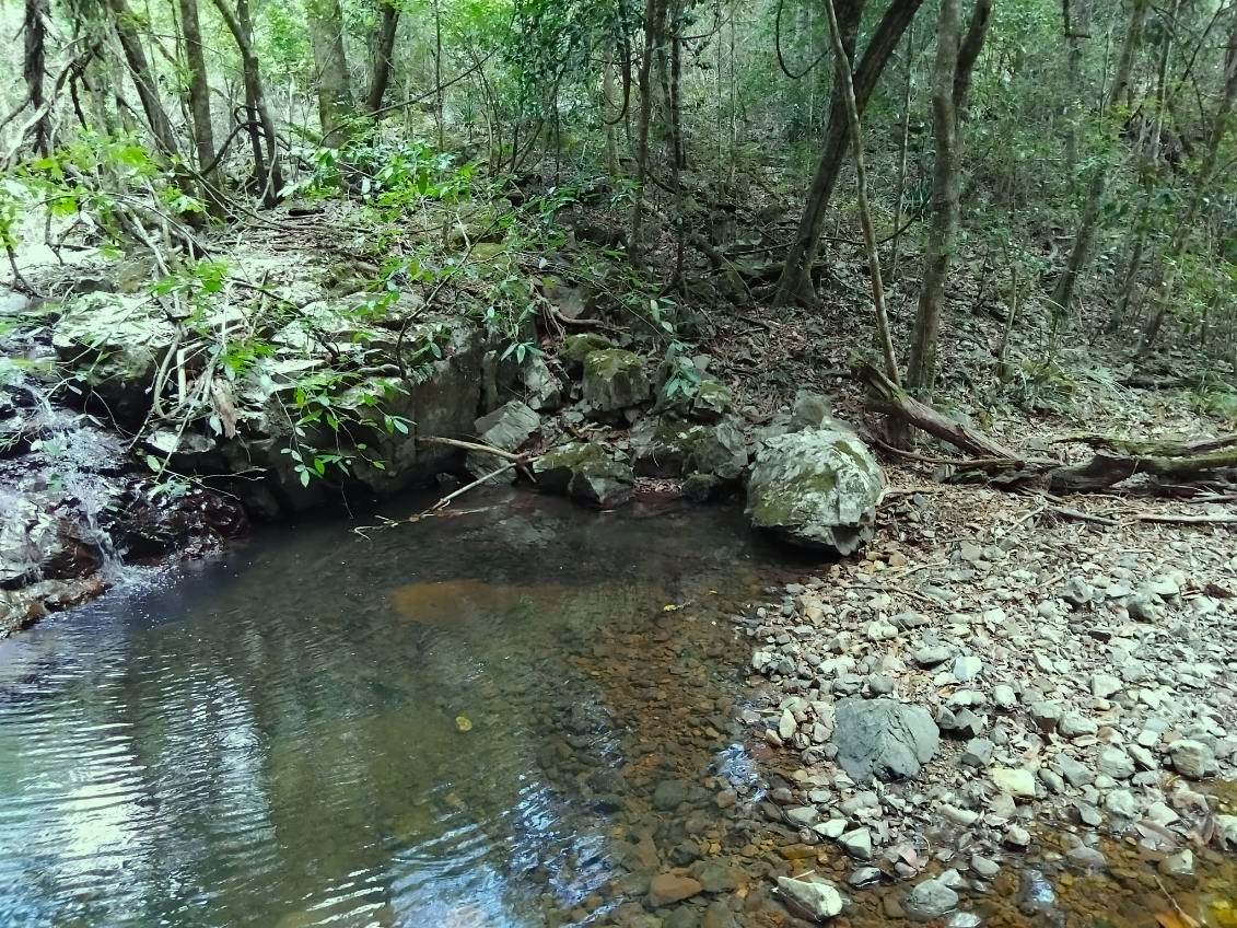 Lot 220 Comboyne Road, Byabarra For Sale by Farmbuy.com - image 3