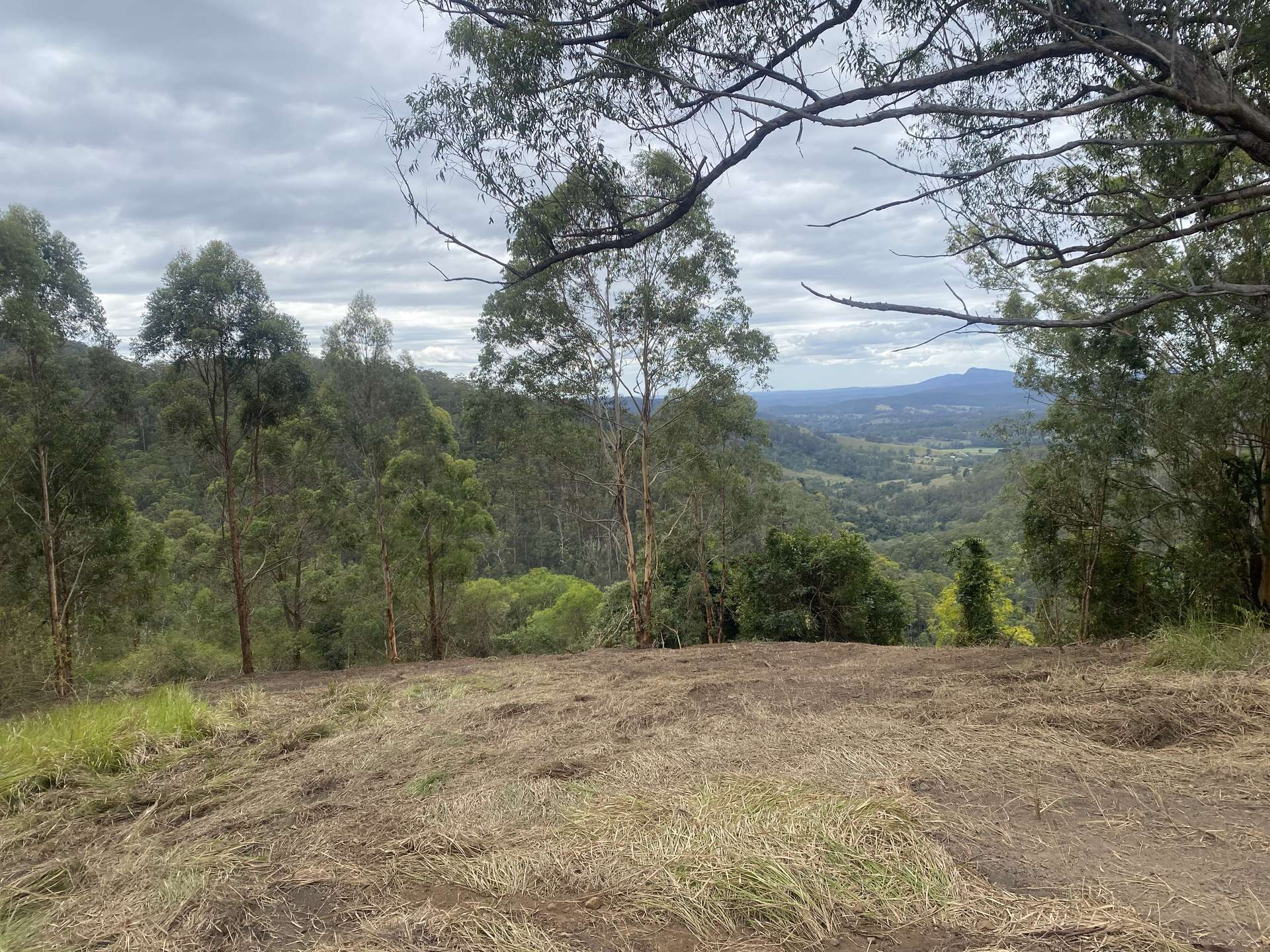 Lot 220 Comboyne Road, Byabarra For Sale by Farmbuy.com - image 4