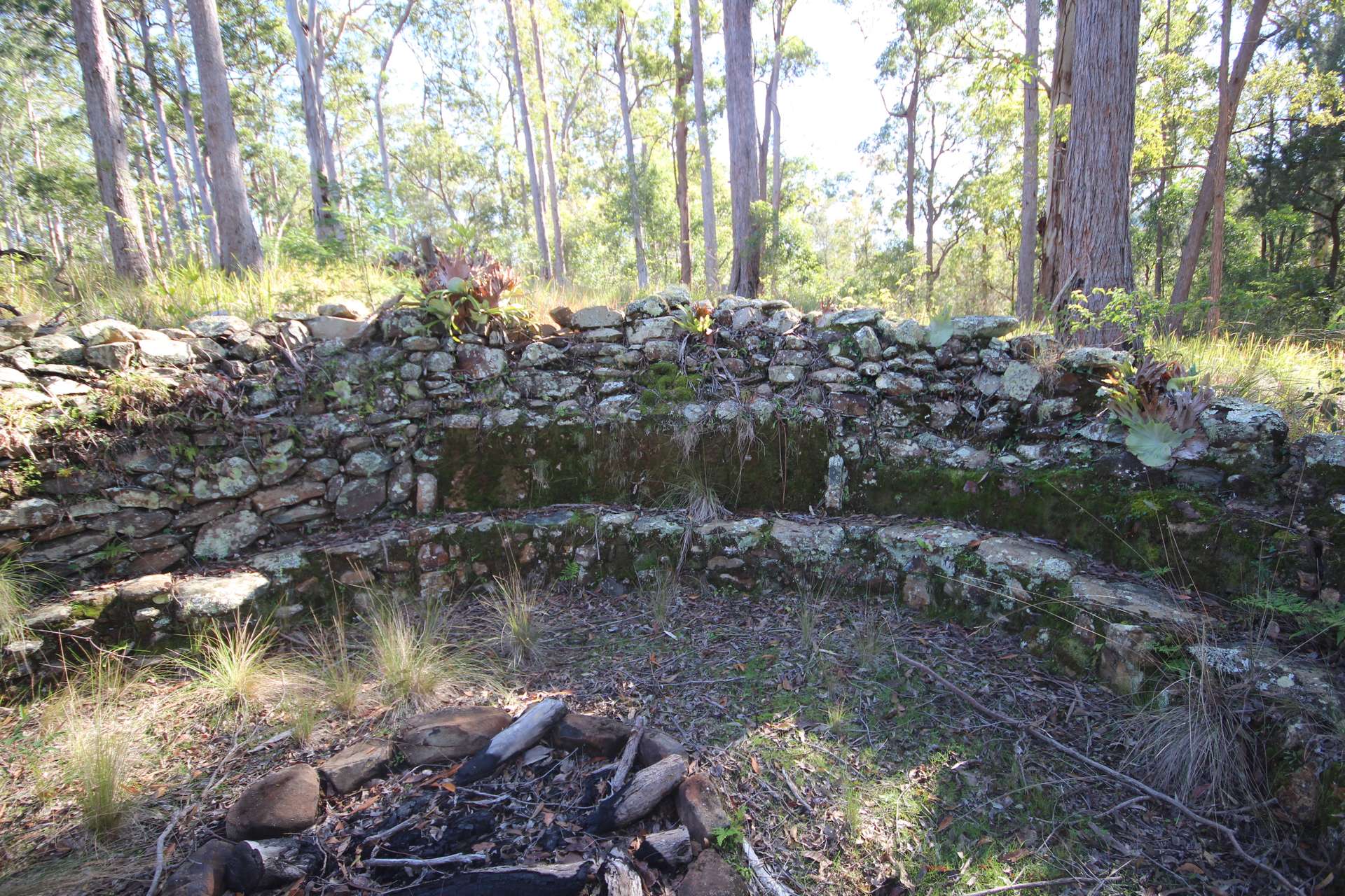 Lot 220 Comboyne Road, Byabarra For Sale by Farmbuy.com - image 25