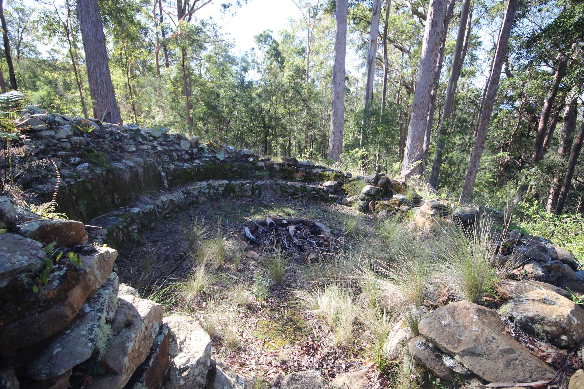 Lot 220 Comboyne Road, Byabarra For Sale by Farmbuy.com - image 27