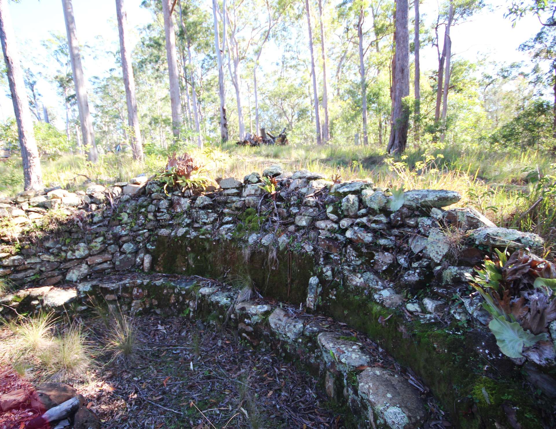 Lot 220 Comboyne Road, Byabarra For Sale by Farmbuy.com - image 26