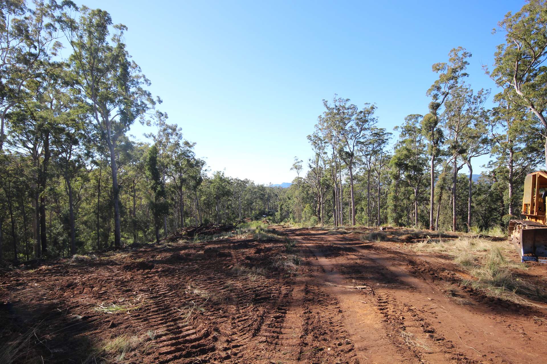 Lot 220 Comboyne Road, Byabarra For Sale by Farmbuy.com - image 11