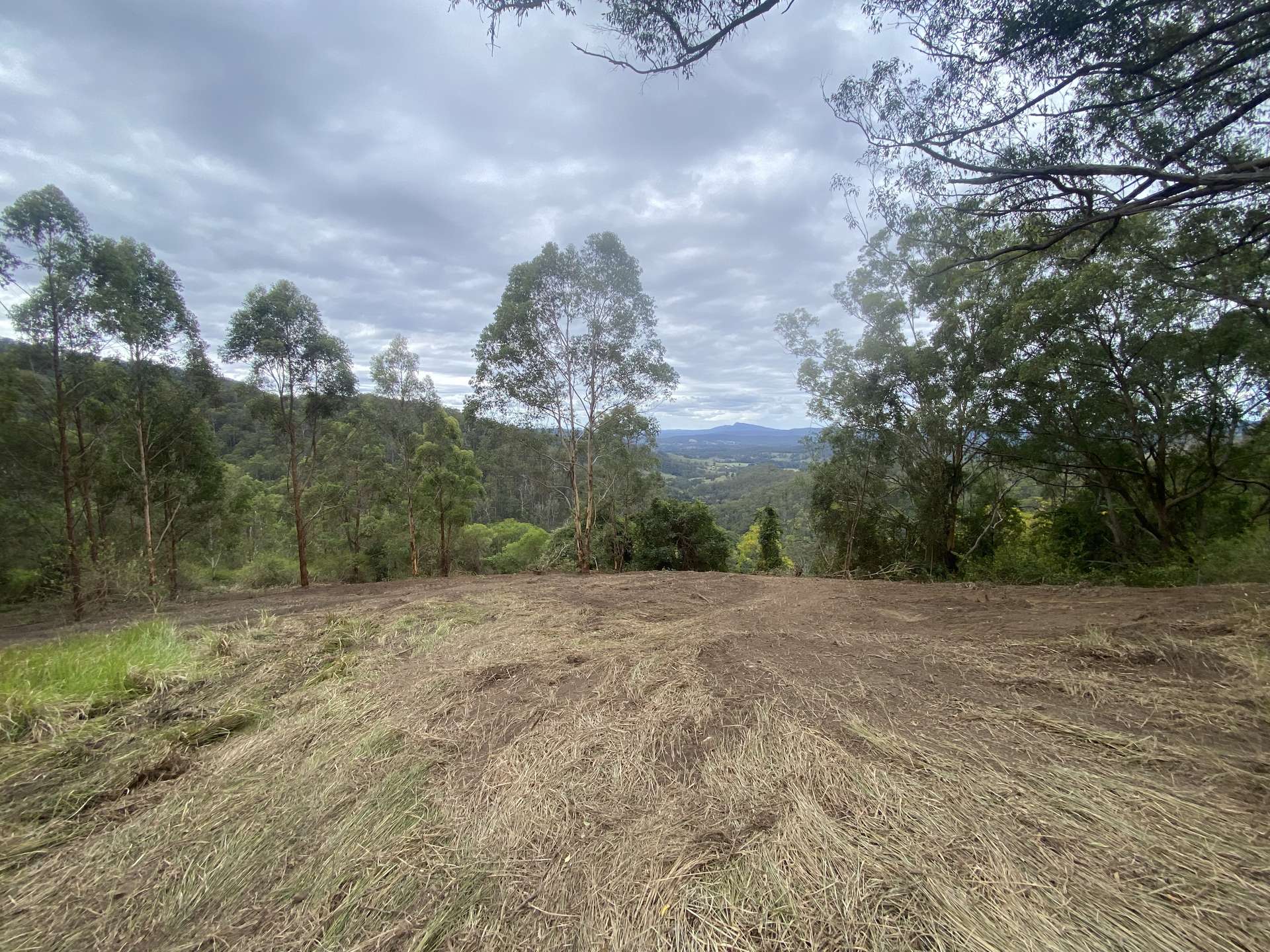 Lot 220 Comboyne Road, Byabarra For Sale by Farmbuy.com - image 5
