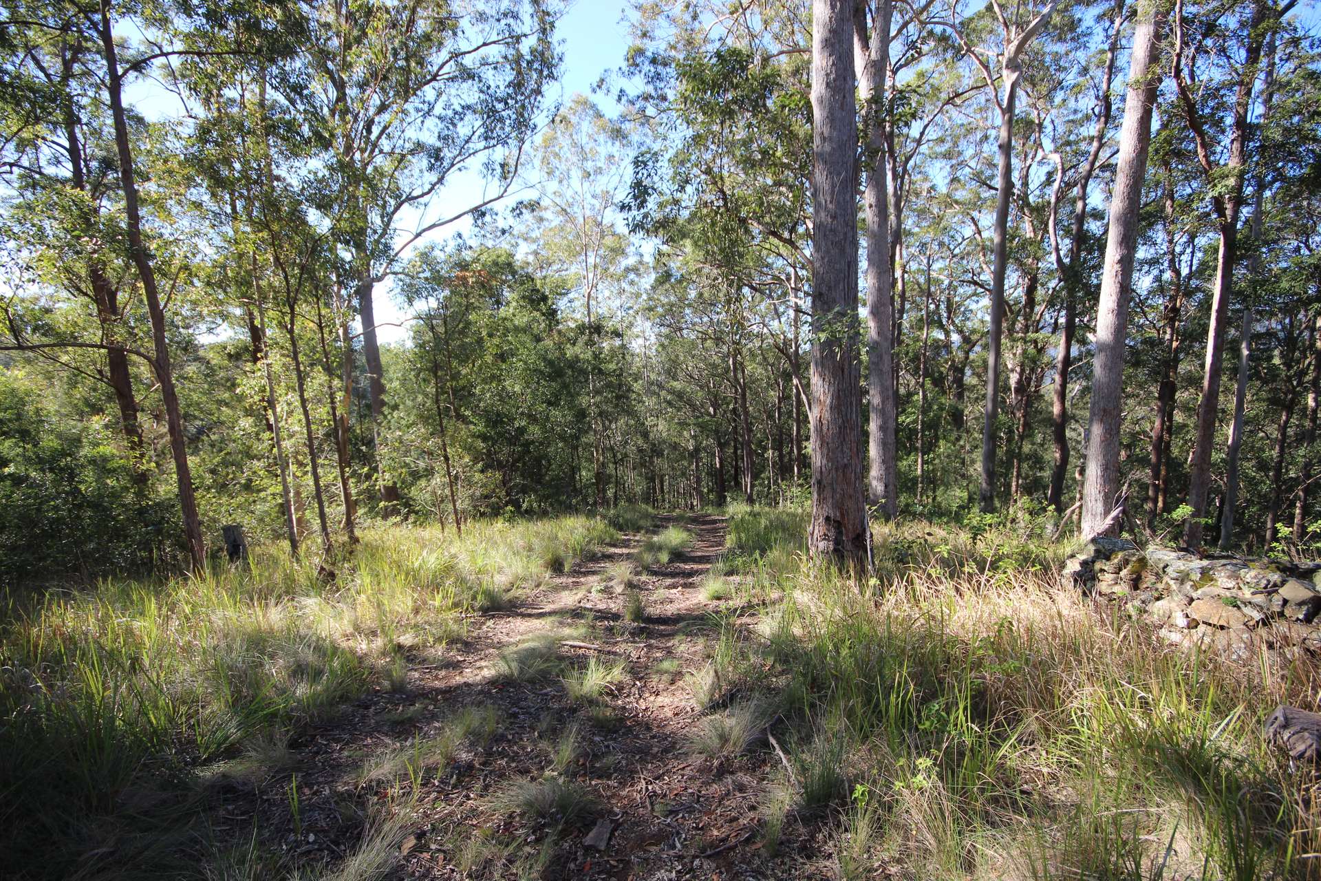 Lot 220 Comboyne Road, Byabarra For Sale by Farmbuy.com - image 10