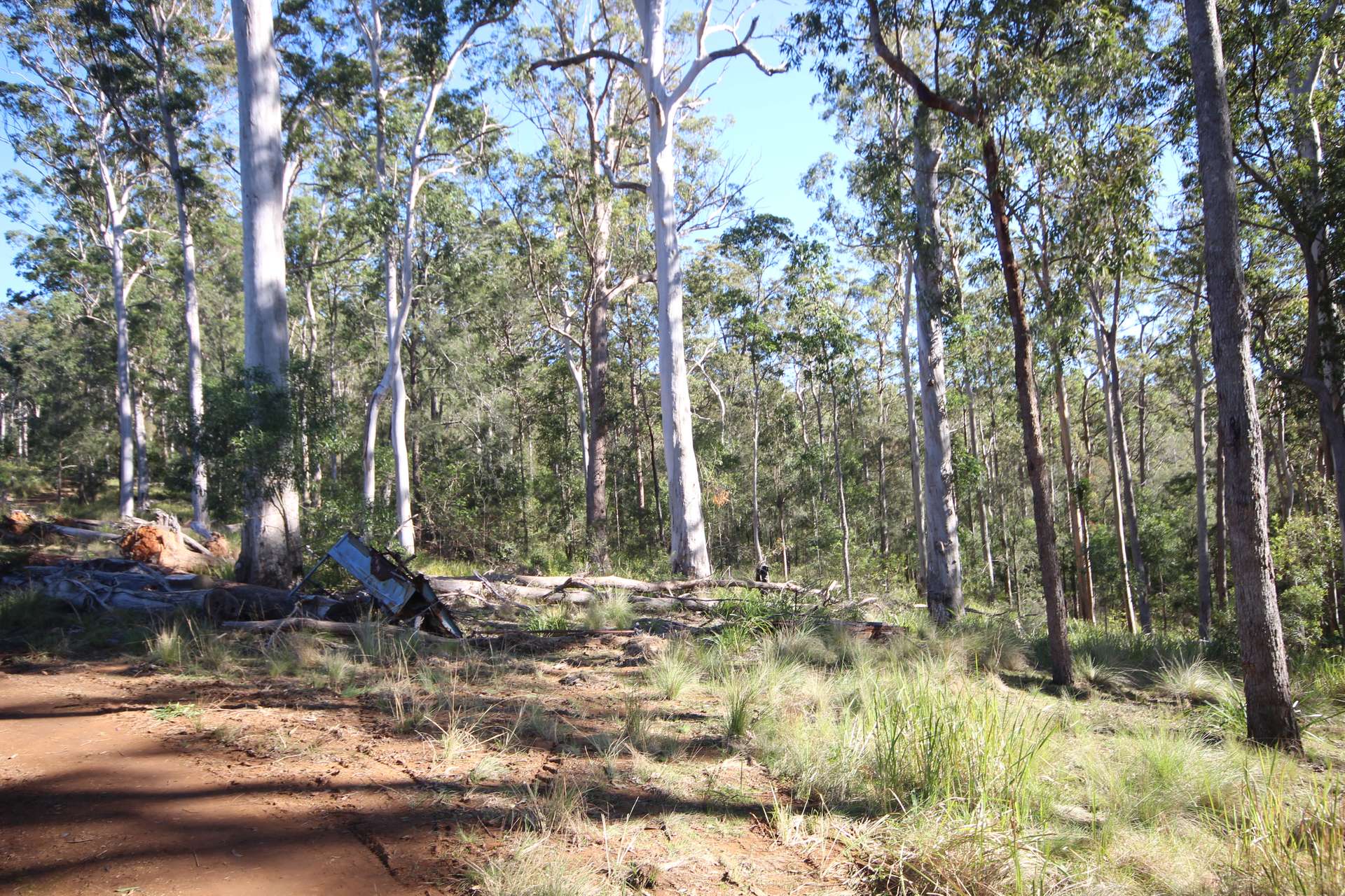 Lot 220 Comboyne Road, Byabarra For Sale by Farmbuy.com - image 12