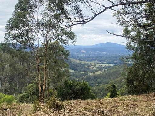 Lot 220 Comboyne Road, Byabarra NSW 2446