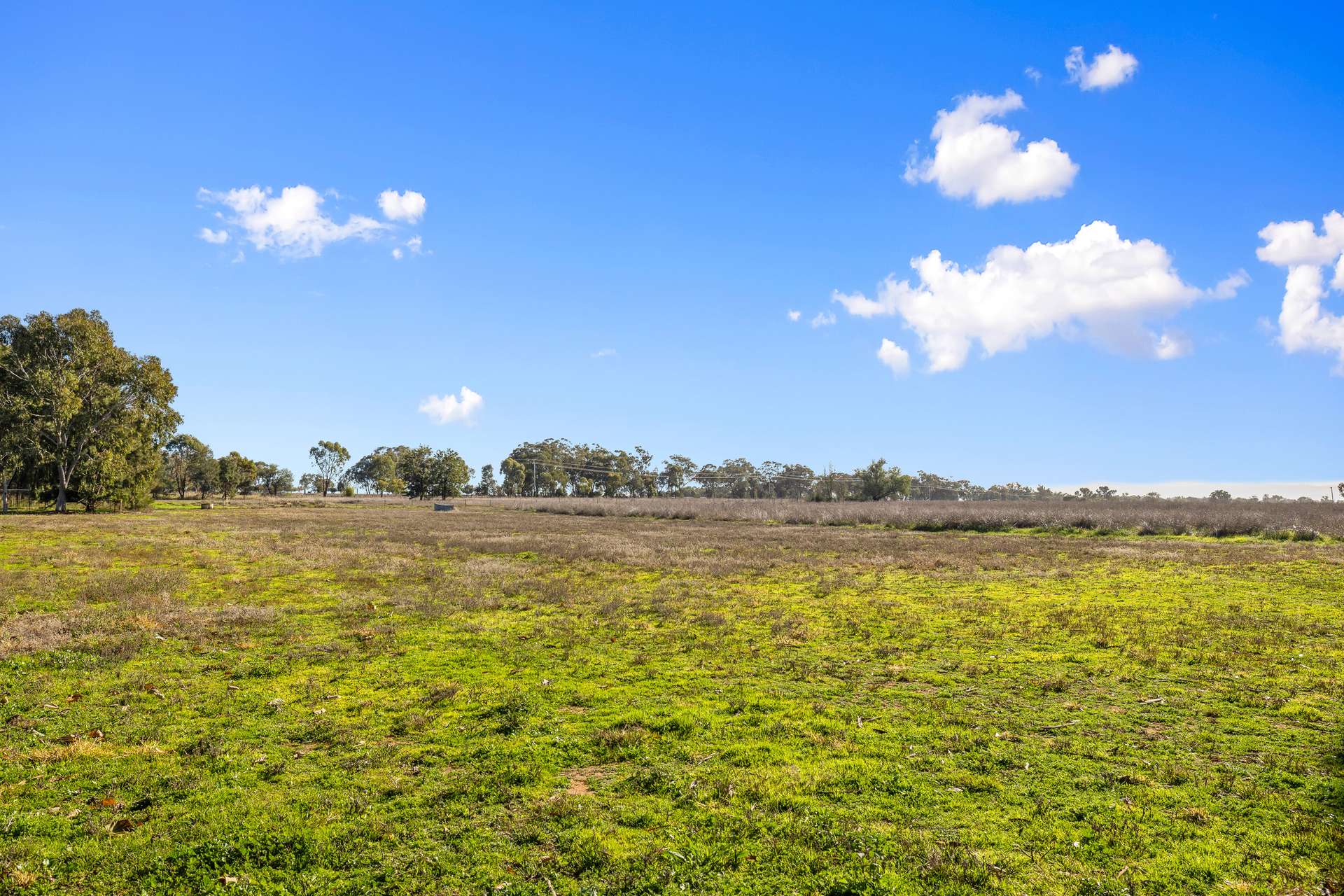 5082 Werris Creek Road, Tamworth Auction by Farmbuy.com - image 15