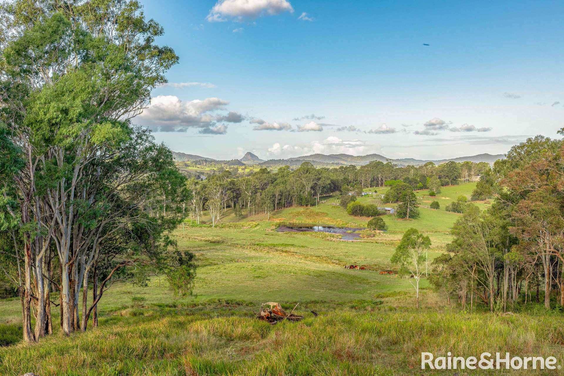 1 Frayne Road, Amamoor For Sale by Farmbuy.com - image 3