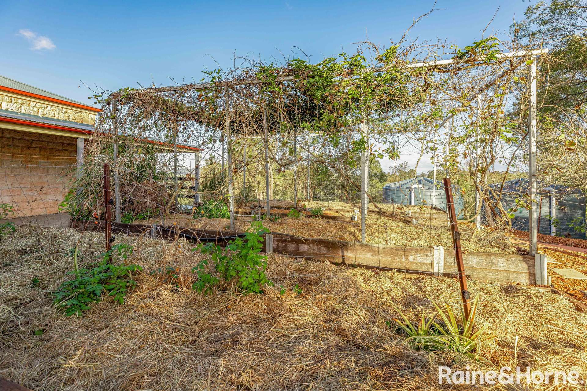 1 Frayne Road, Amamoor For Sale by Farmbuy.com - image 29