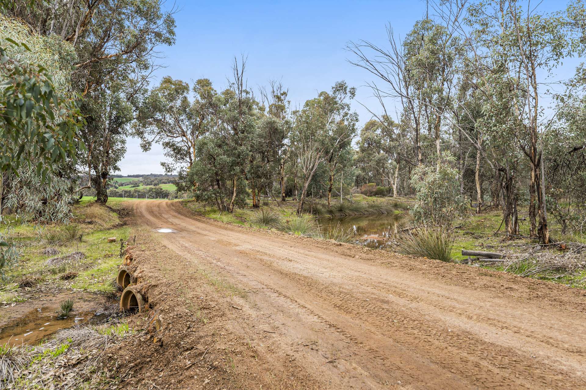 8772 Albany Highway, Crossman Auction by Farmbuy.com - image 35