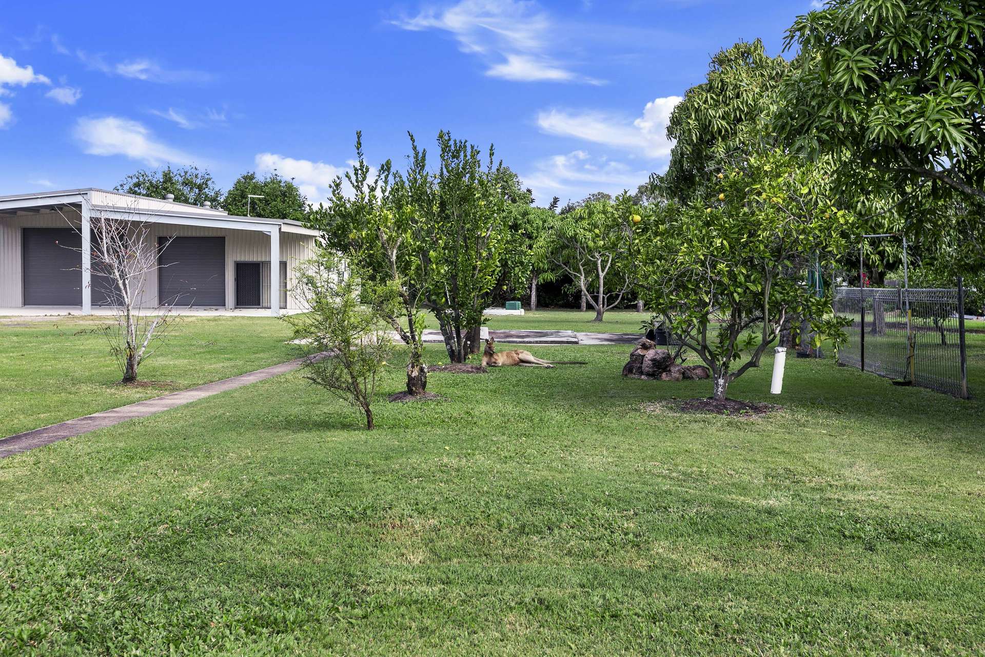 27-29 Orchid Avenue, Urangan For Sale by Farmbuy.com - image 25