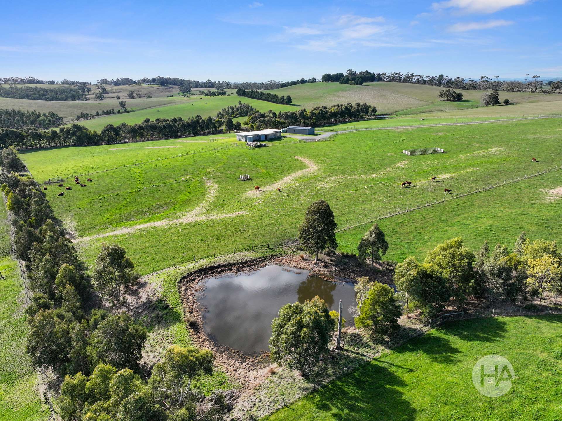 2 Dunbabbin Road, The Gurdies For Sale by Farmbuy.com - image 7