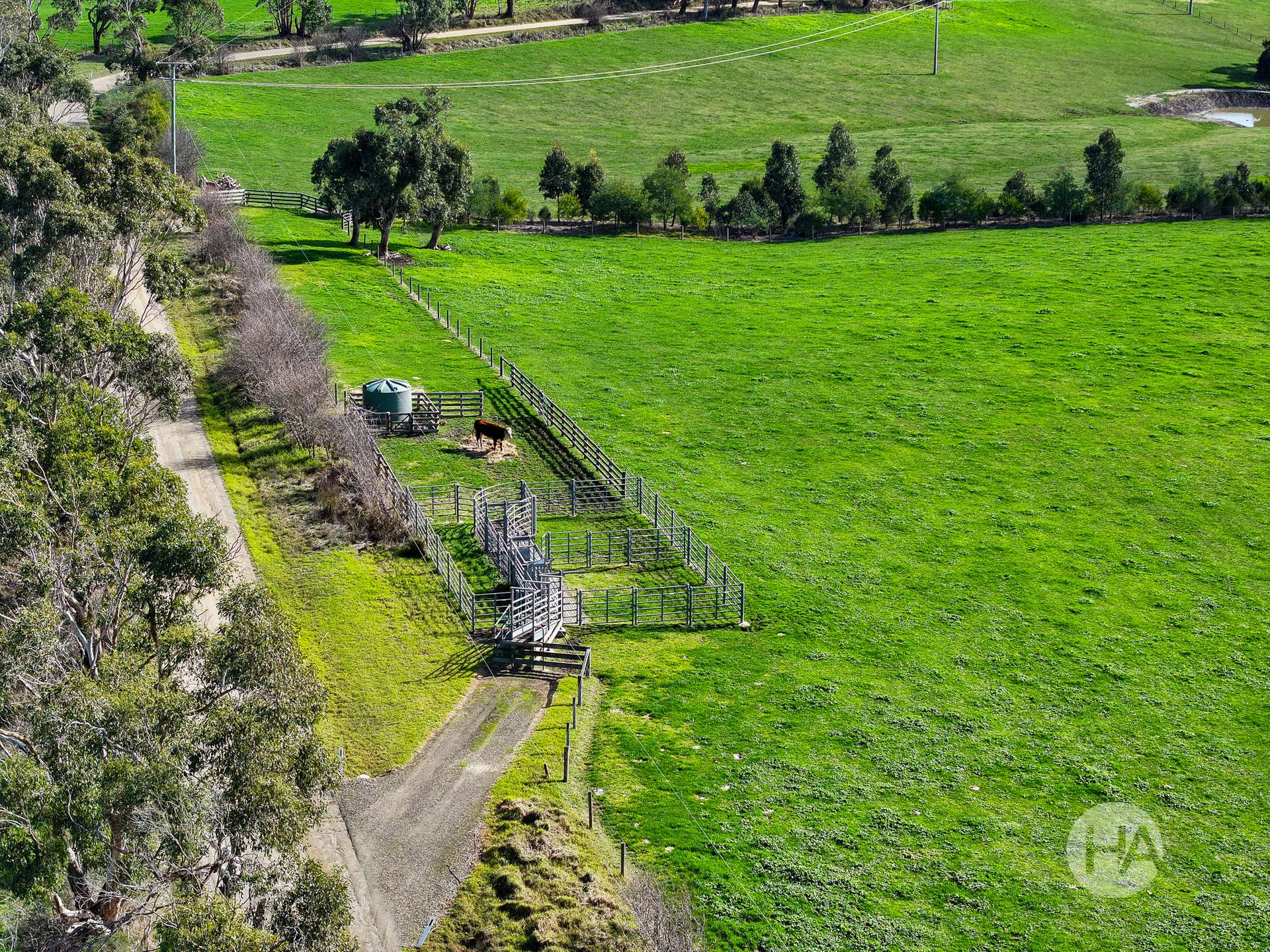 2 Dunbabbin Road, The Gurdies For Sale by Farmbuy.com - image 26