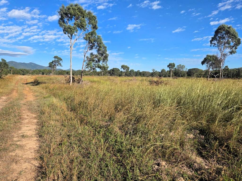 Bowen QLD 4805