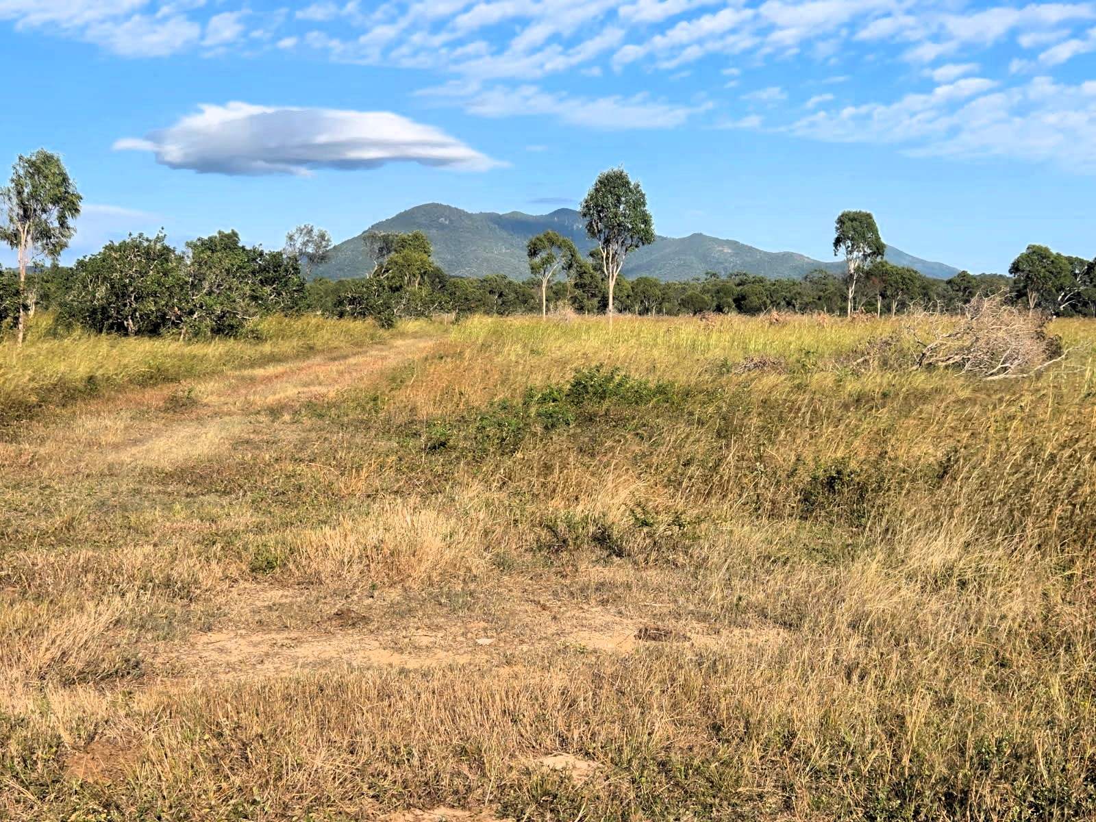 Bowen For Sale by Farmbuy.com - image 6
