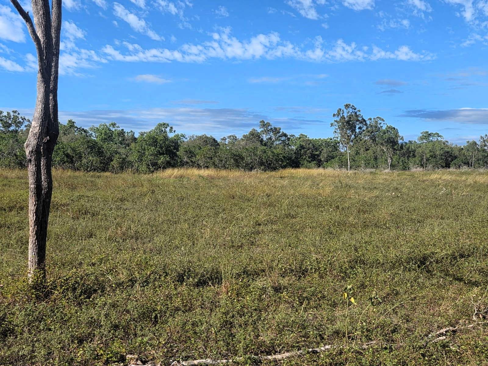 Bowen For Sale by Farmbuy.com - image 10