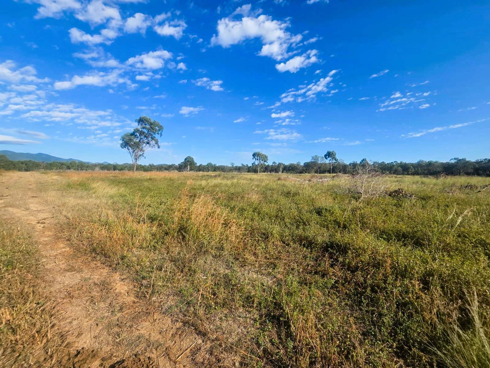 Bowen For Sale by Farmbuy.com - image 7