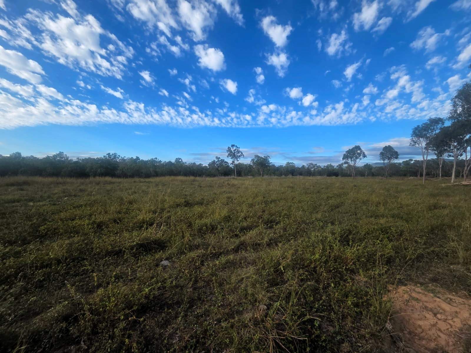 Bowen For Sale by Farmbuy.com - image 4