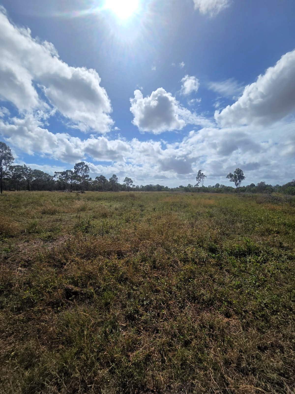 Bowen For Sale by Farmbuy.com - image 11
