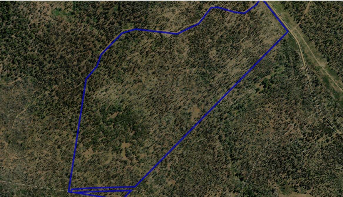 Lot 4 Waddamana Road, Waddamana For Sale by Farmbuy.com - image 2