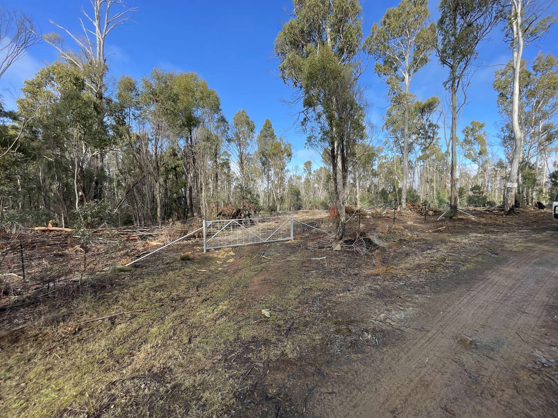 Lot 4 Waddamana Road, Waddamana For Sale by Farmbuy.com - image 7