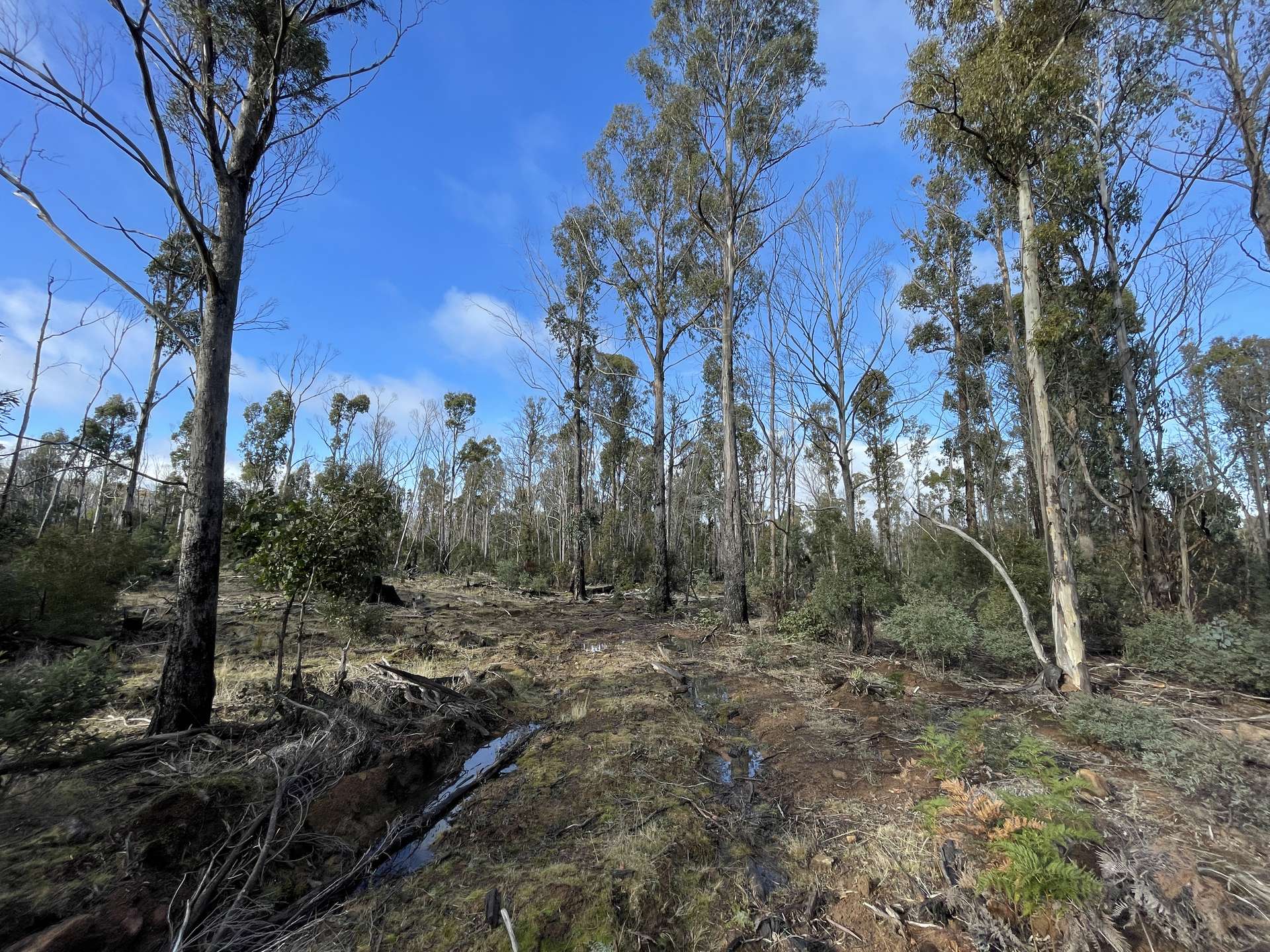 Lot 4 Waddamana Road, Waddamana For Sale by Farmbuy.com - image 8