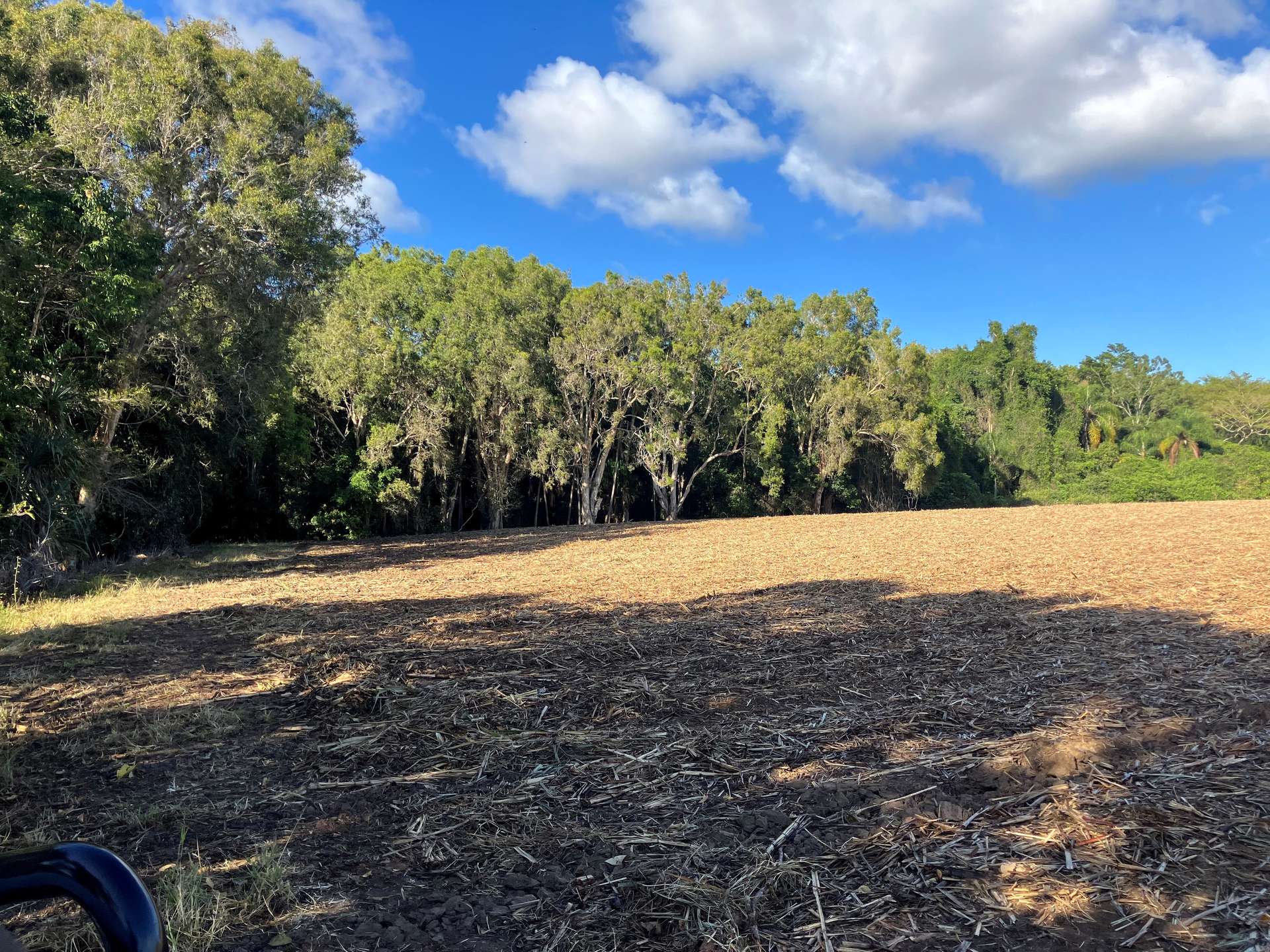 Lot 1 Lorne Road, Walkerston For Sale by Farmbuy.com - image 4