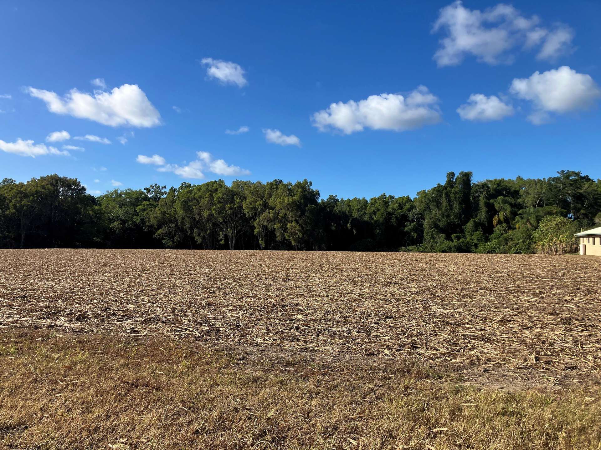 Lot 1 Lorne Road, Walkerston For Sale by Farmbuy.com - image 1