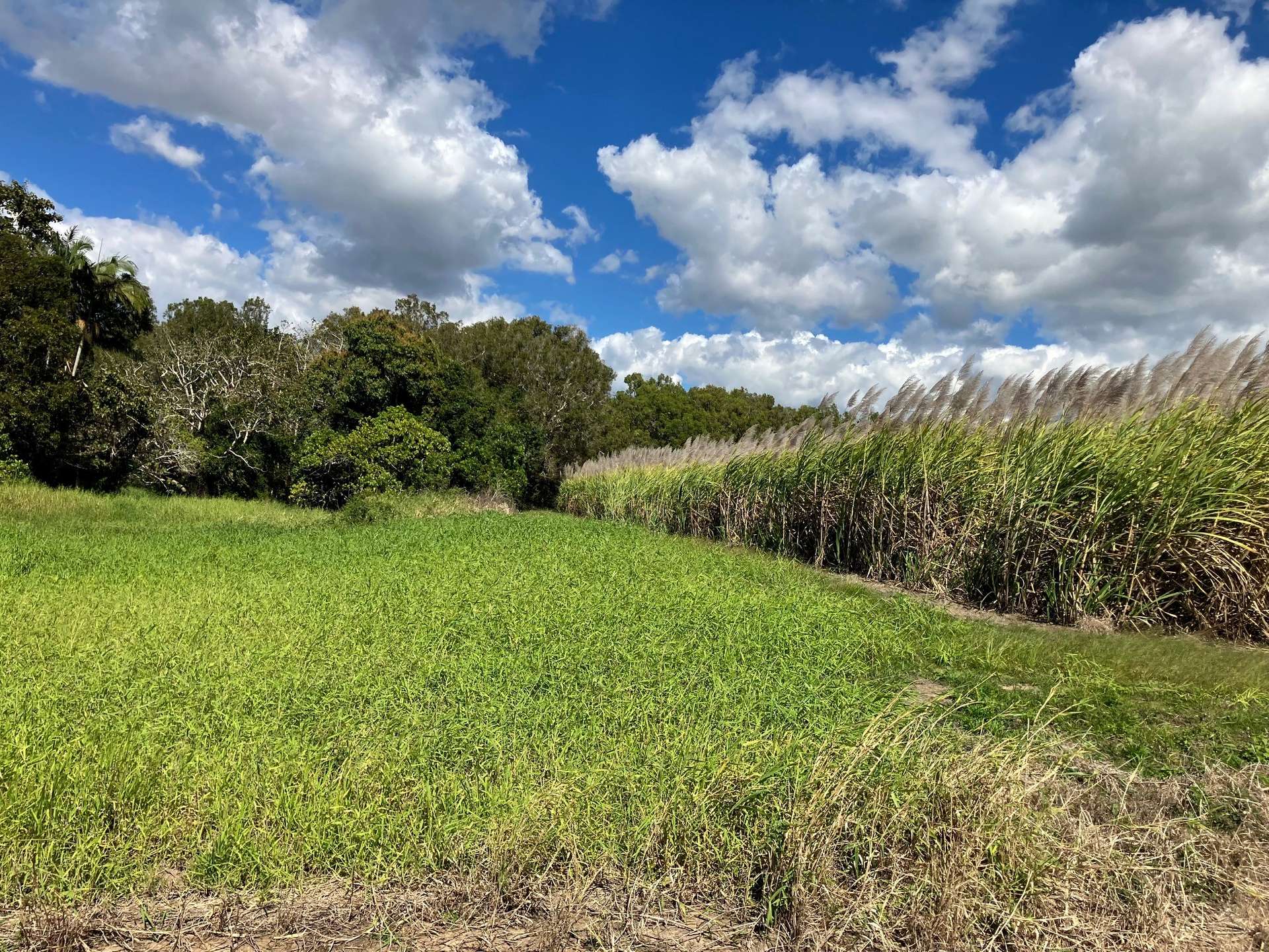Lot 1 Lorne Road, Walkerston For Sale by Farmbuy.com - image 2